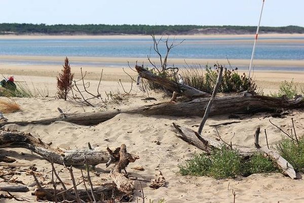 Quels sont les activités à faire en camping Ile d'Oléron bord de mer avec des enfants ?