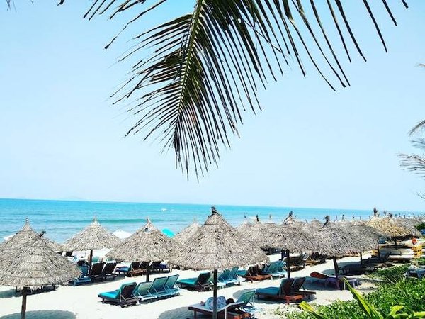 Les meilleurs campings en Camargue proche de la mer : Votre guide ultime pour des vacances de Rêve