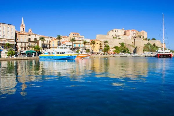 Découvrir les merveilles aquatiques de Calvi avec vos enfants