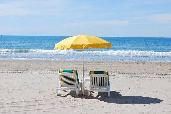 Comment choisir le meilleur camping familial en Camargue pour des vacances en bord de mer réussies ?