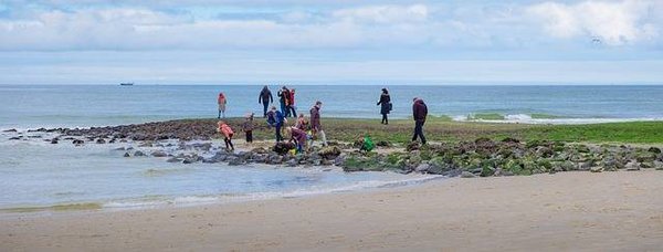 Les campings à la mer pour les familles nombreuses