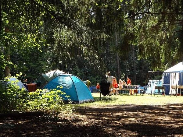 Les joyaux cachés du Pays Basque : découvrez les meilleurs campings