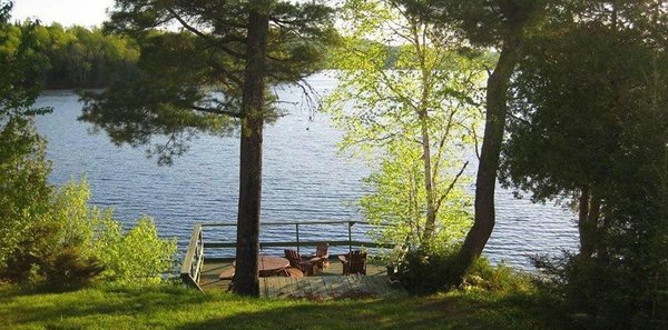 S'imprégner de la beauté naturelle du Camping des Pins